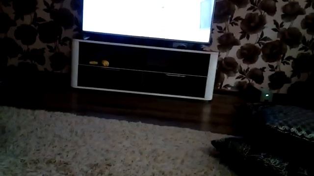 Басик один дома??? Кушаем кашу
