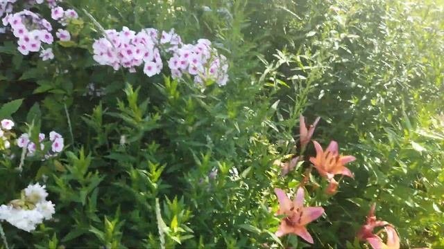 Летний день с Деревенькой у реки!!! Проведите его со мной. Часть первая.