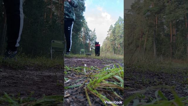 подготовка к закупки грибов