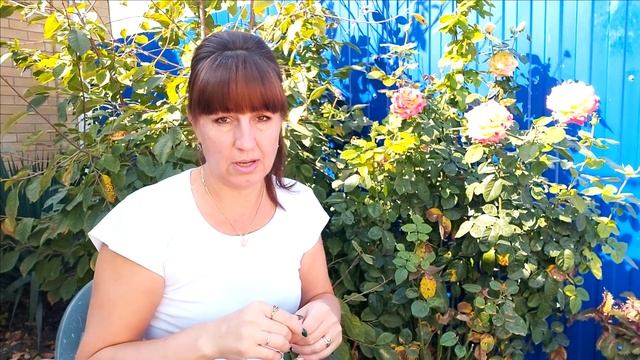 БлииииииН Суббота!!! // ОТВЕТЫ на Ваши ВОПРОСЫ //