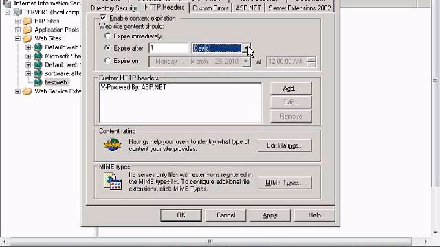 Enable content expiration for a website in IIS