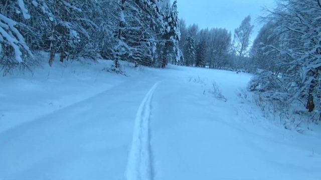 Новогодние покатушки