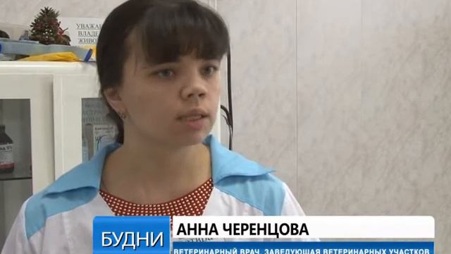 прививки тузикам