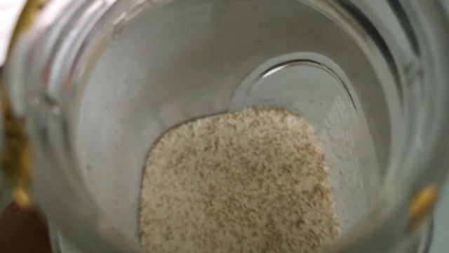 Фараоновые муравьи в манке.