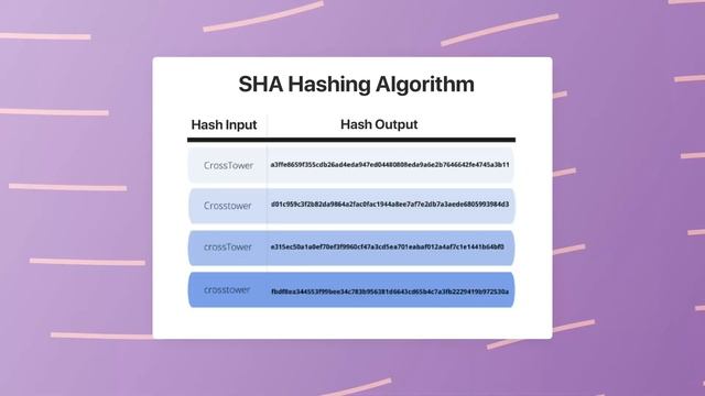 The BEST Ways to Store Passwords in Your Database