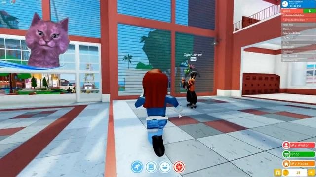 УРА БАЛДЕЕМ КАНИКУЛЫ С ГОВОРЯЩИМ КОТЕНКОМ АБИ  Robloxian Highschool  ИГРА для ДЕТЕЙ  РОБЛОКС