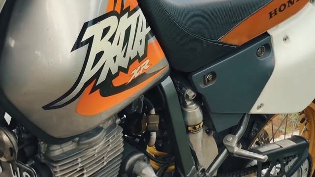 XR 250 BAJA