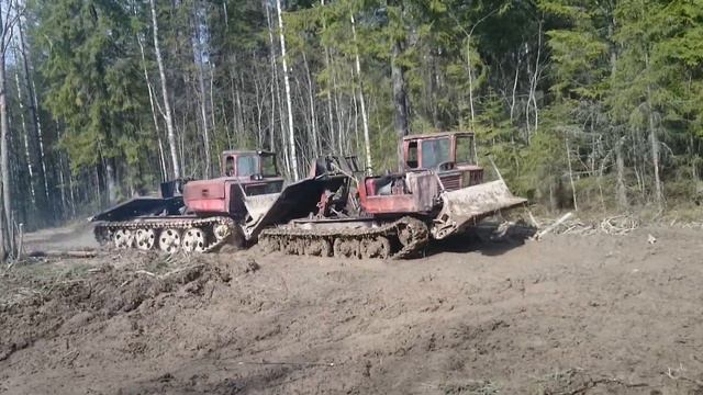 Битый небитого везёт