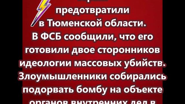 Теракт предотвратили в Тюменской области