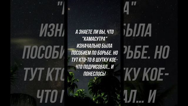 Шортс 16. Короткие смешные анекдоты!