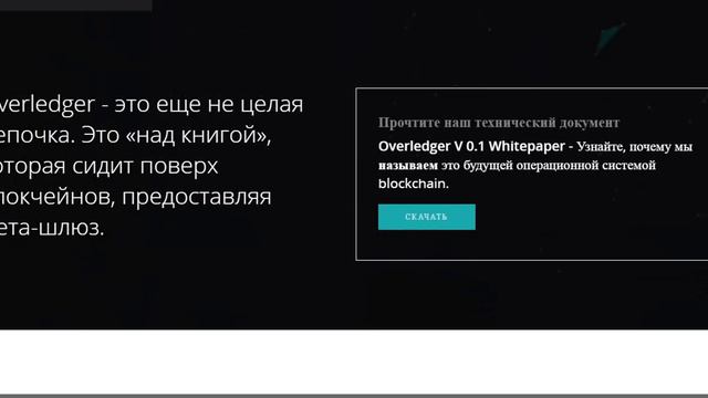 Обзор проекта Quant