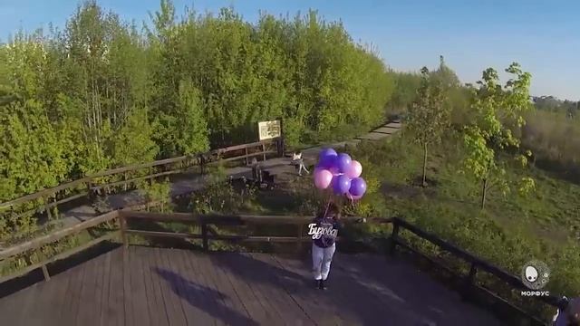 Запуск фамилии в небо