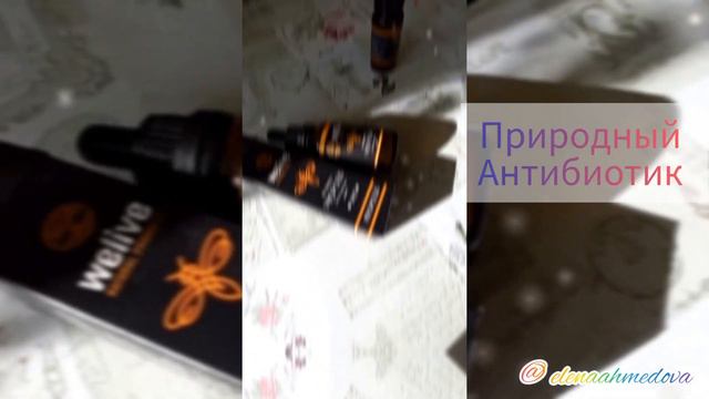 Прополис от компаний Welive