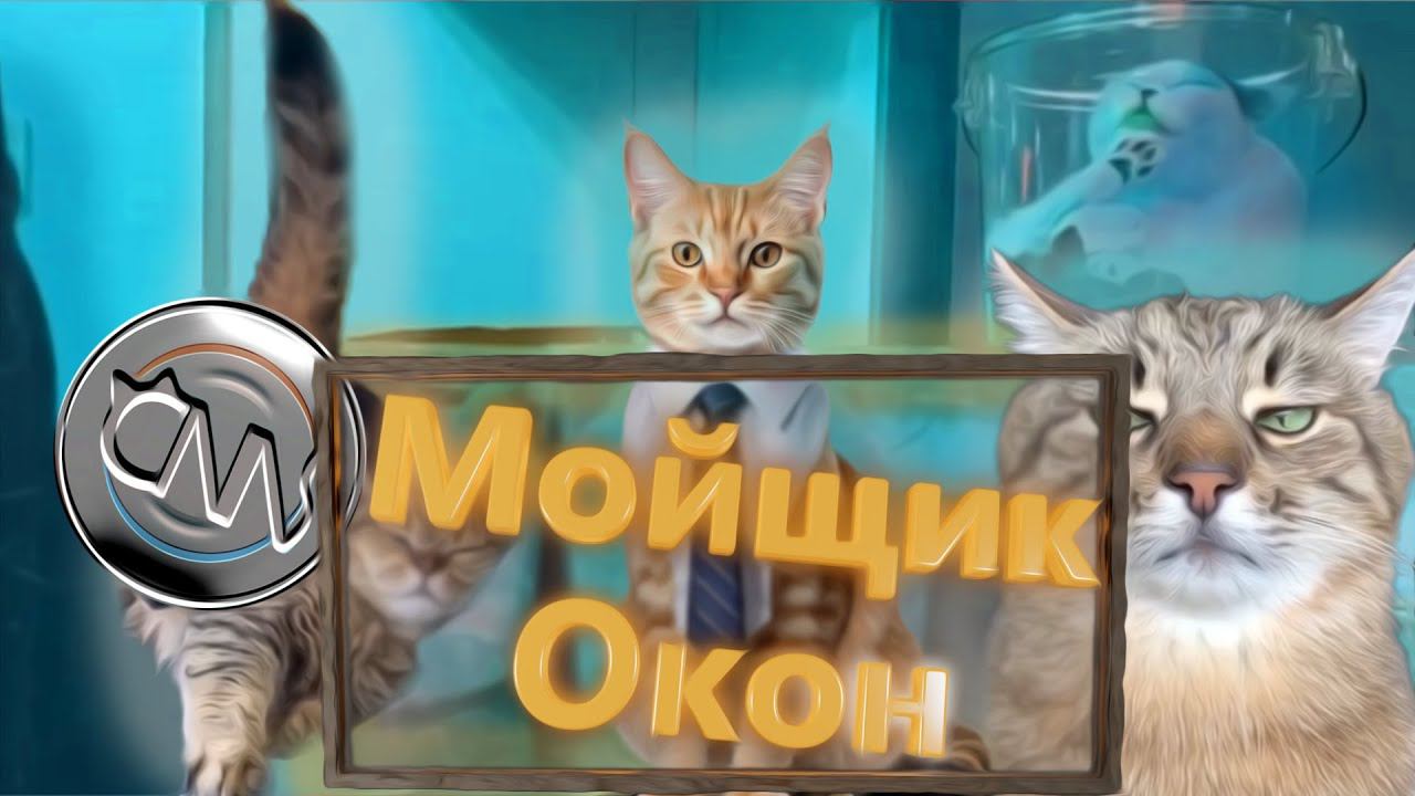 Кошачьи новости - лучший аттракцион "смешные коты"