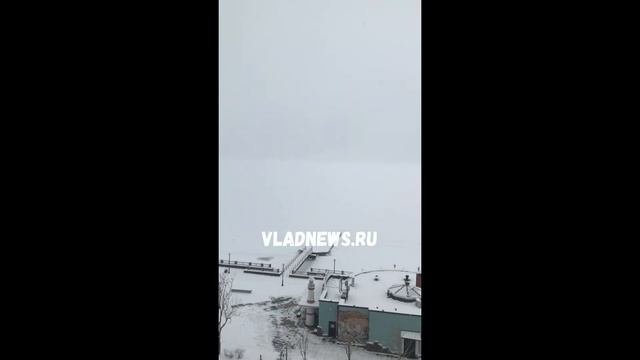 О пингвины: Во Владивостоке рыбаки подвергают себя опасности