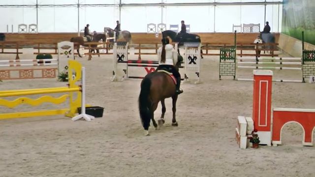 Вита. Букреева Валерия. Мастер - класс. Конный клуб "Equides club". с. Лесники. г. Киев. 13.02.2016