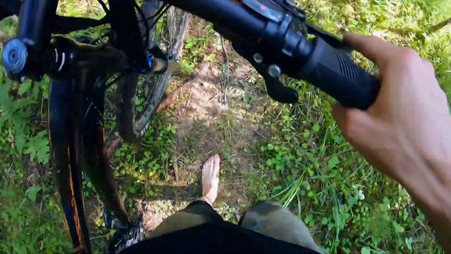 В КАРЕЛЬСКИХ ЛЕСАХ. ТРОПА ХО-ШИ-МИНА.