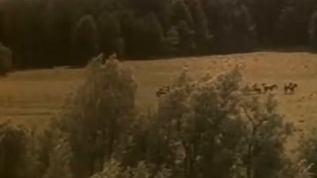 Высоцкий  Баллада о любви