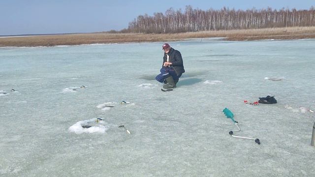 Зимняя рыбалка весной на карася.