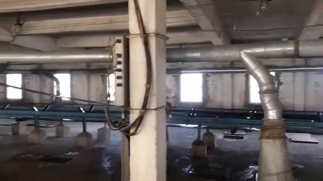 Аэрозольная дезинфекция элеватора