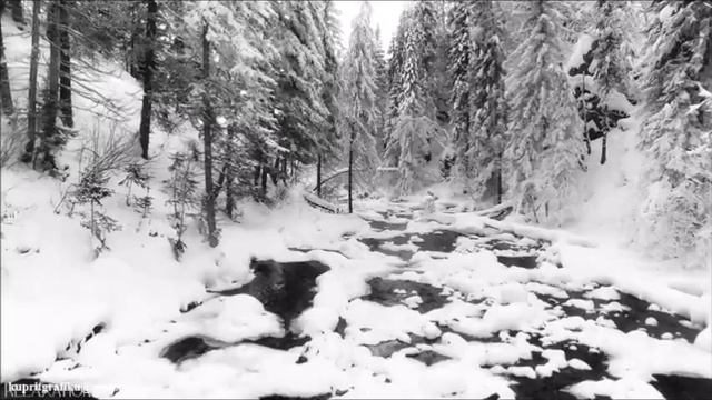 Алексей Лунёв. Расскажи.
