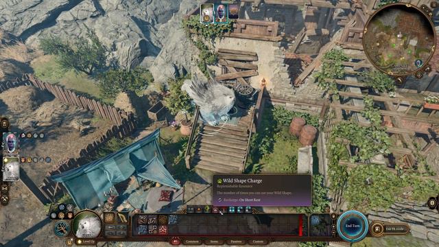 THE OWLBEAR FLIES - BG3 Tactician Druid / Halsin / Jaheira Build Guide