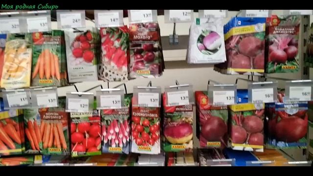 Как перезимовала клубника в горшках? Купила новые семена. Когда я сею семена на рассаду?