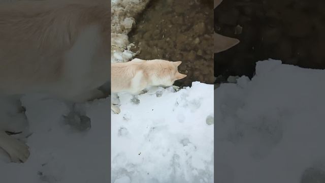 На рыбалке