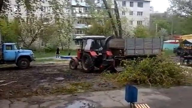 Не законная вырубка деревьев