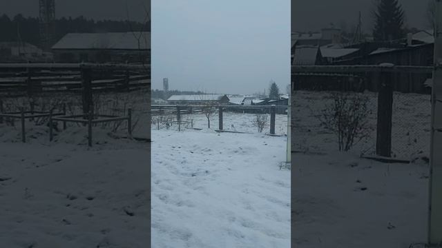 В Сибирь опять пришла зима. 
#россия #сибирь #погода #природа #зима #снег