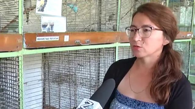 ВОЛНИСТЫЙ ПОПУГАЙ: ИНСТРУКЦИЯ ПО ПРИМЕНЕНИЮ