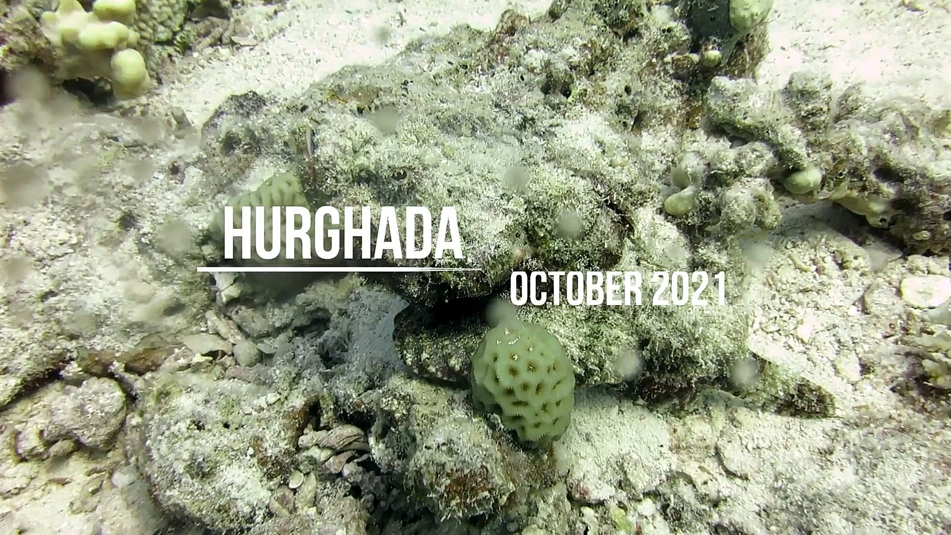 October 2021, Hurghada, Diving  videos