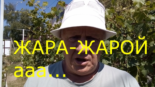 ЖАРА ЖАРОЙ а...