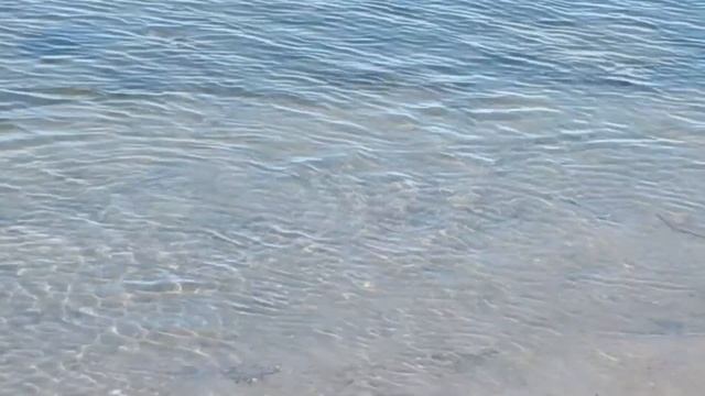 Ловля кефали. Лазурное.