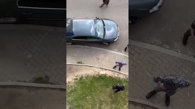 🦮В Котельниках бойцовские собаки напали на женщину с терьером собака🦮