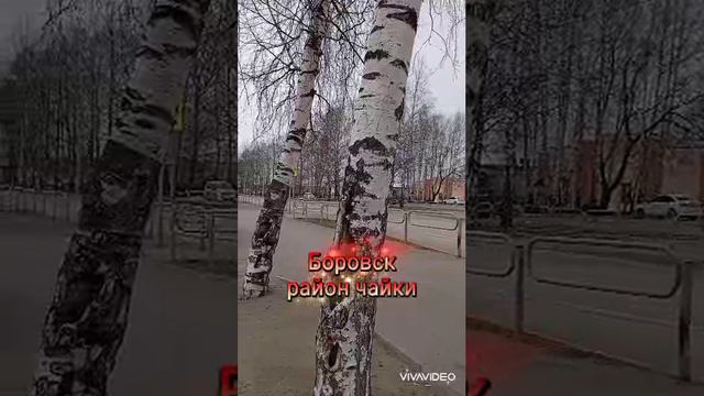 Соликамск 
Район Чайки 
Боровск