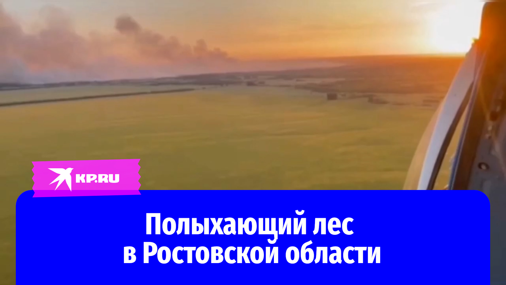 В Ростовской области лесные пожары