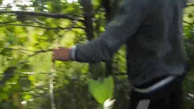 Выживание/Часть 1/ Убежище