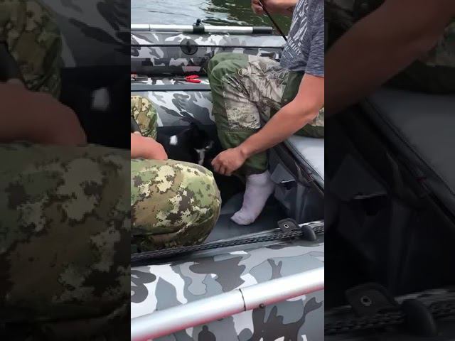 Собакен первый раз увидел живую рыбуготов разорвать ее #рыбалка #собака#сплав #река
