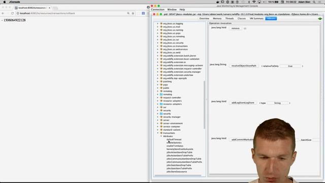 Transactions Monitoring With WildFly