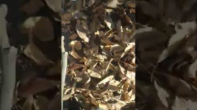 магия волшебная палочка 2урок