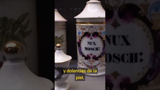 Plantas Medicinales parte 27