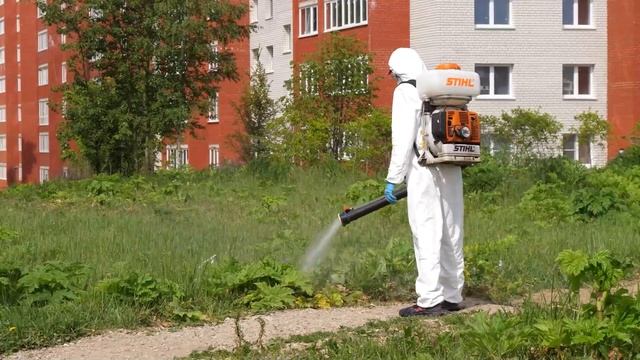 В Смоленске продолжается химическая обработка территорий против борщевика