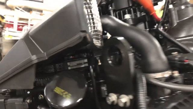 2019 Mercury 175 Pro XS
