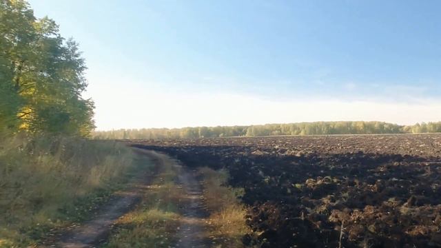 Фотоохота с Альбертом. По холмам и лесам