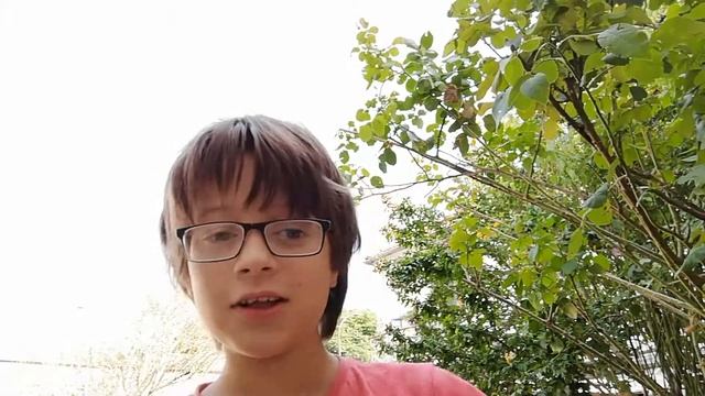Ma première vidéo m'a vue
