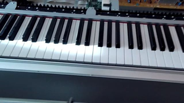 Устранение щелчков клавиатуры пианино Yamaha YDP-131