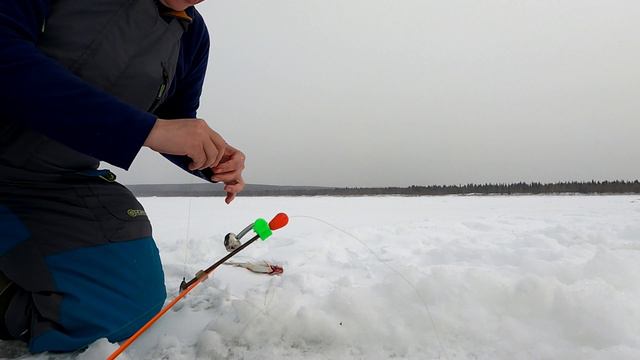 Рыбалка в конце Марта / Весенняя рыбалка на сига и хариуса / Рыбалка с домашним комфортом