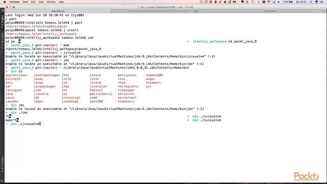 Writing High Performance Java Application in Java 9 : Detecting Mem Leaks JVisualVM | packtpub.com