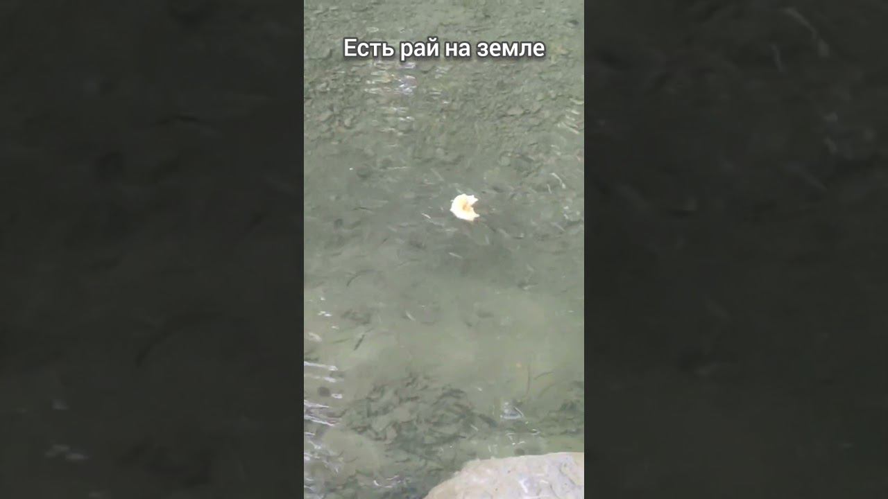 Есть рай на земле #природа #красота #отдых